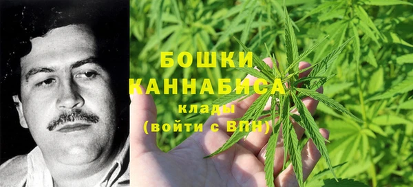 соль ск Дмитров